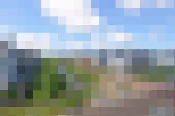 De Druiventrap 17 Wateringen thumbnail 48