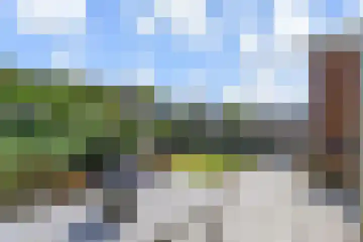 De Druiventrap 17 Wateringen thumbnail 49
