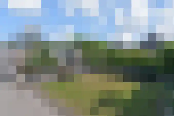 De Druiventrap 17 Wateringen thumbnail 50