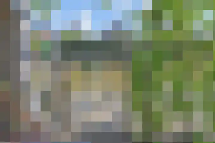 De Druiventrap 17 Wateringen thumbnail 51