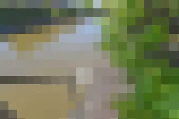 De Druiventrap 17 Wateringen thumbnail 52