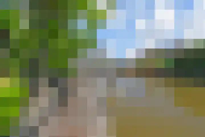 De Druiventrap 17 Wateringen thumbnail 53