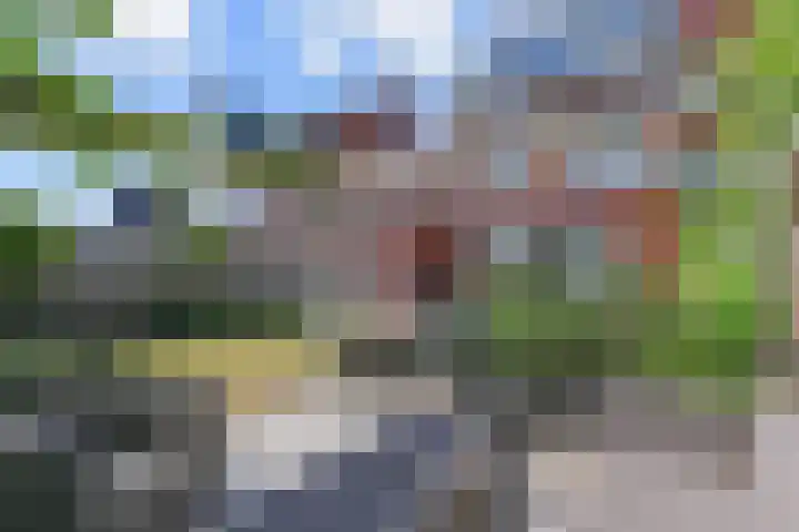 De Druiventrap 17 Wateringen thumbnail 54