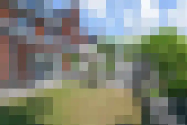 De Druiventrap 17 Wateringen thumbnail 55