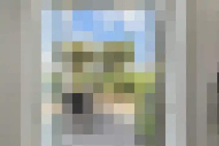 De Druiventrap 17 Wateringen thumbnail 57