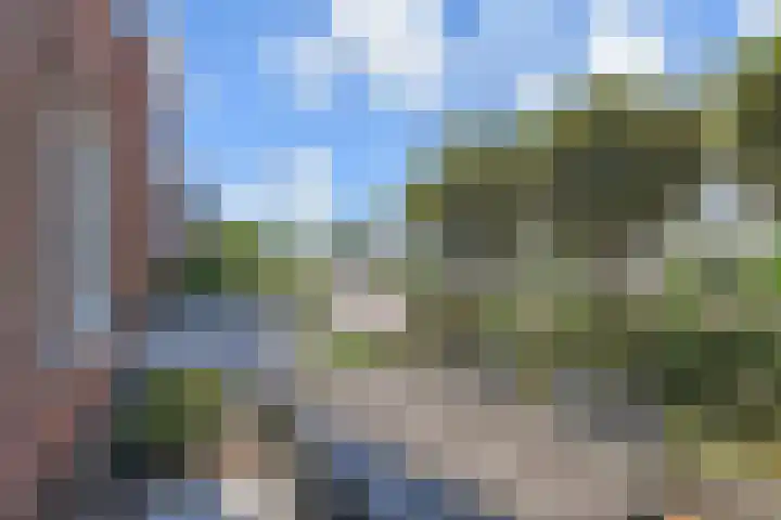 De Druiventrap 17 Wateringen thumbnail 58