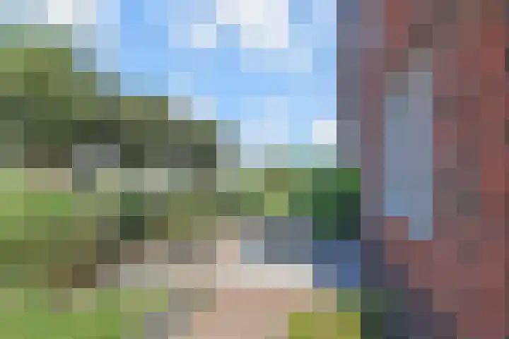 De Druiventrap 17 Wateringen thumbnail 59