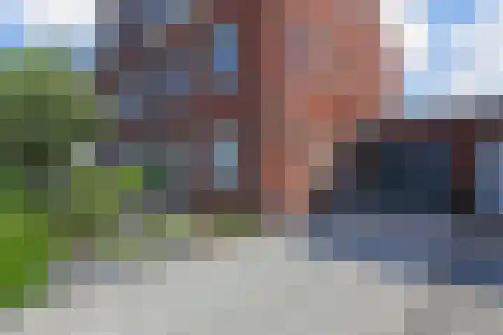 De Druiventrap 17 Wateringen thumbnail 7