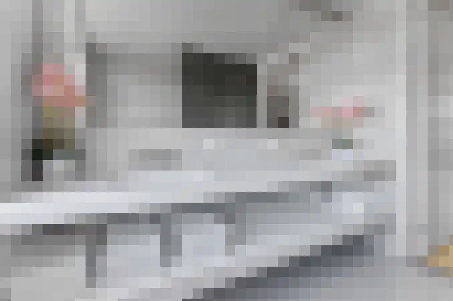De Druiventrap 30 Wateringen thumbnail 20