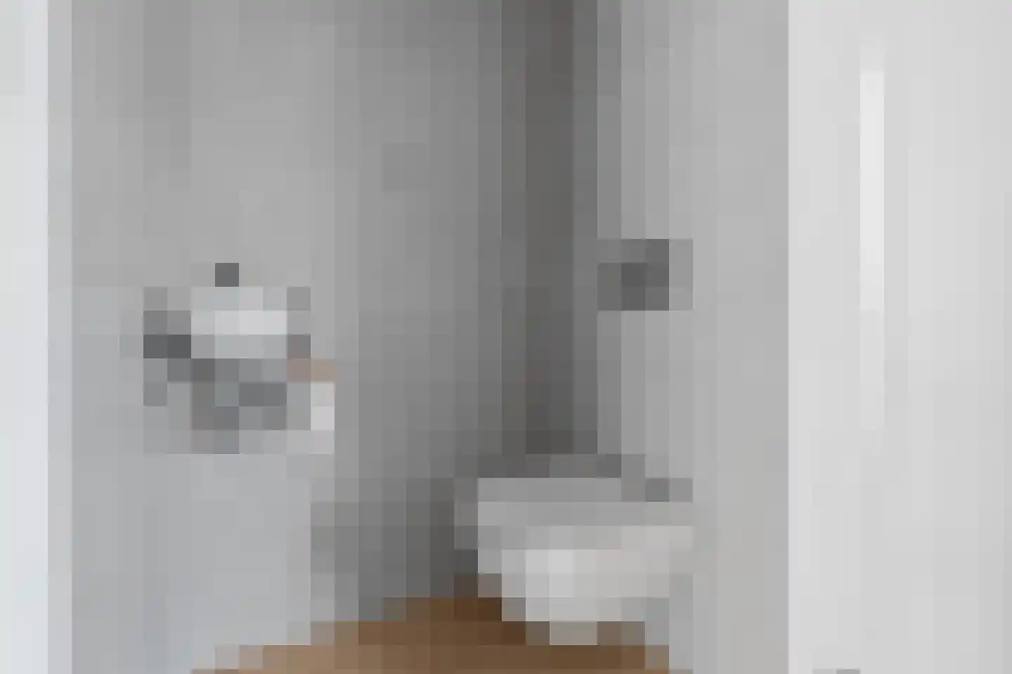 De Druiventrap 30 Wateringen thumbnail 5