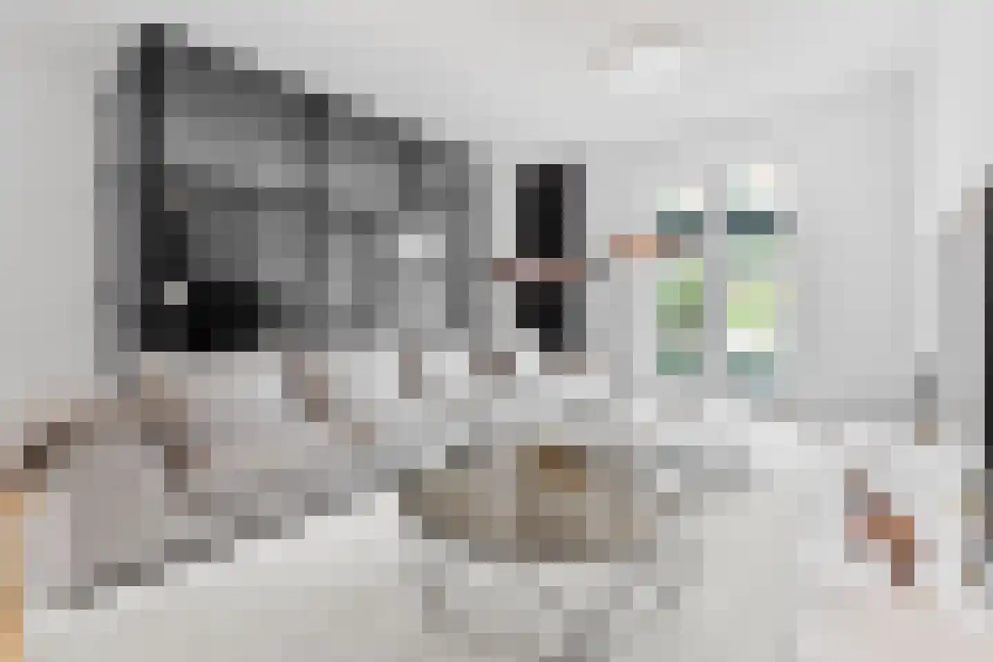 De Druiventrap 30 Wateringen thumbnail 8