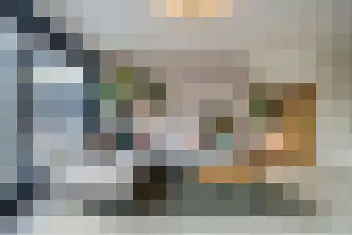 De Druiventrap 36 Wateringen thumbnail 10