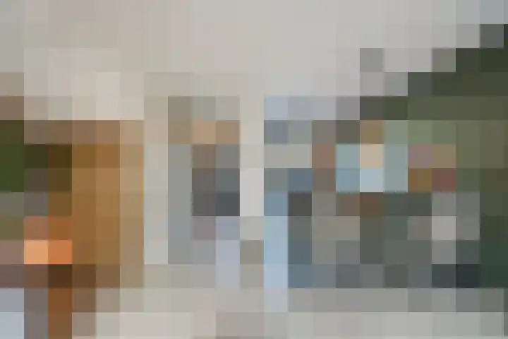 De Druiventrap 36 Wateringen thumbnail 13