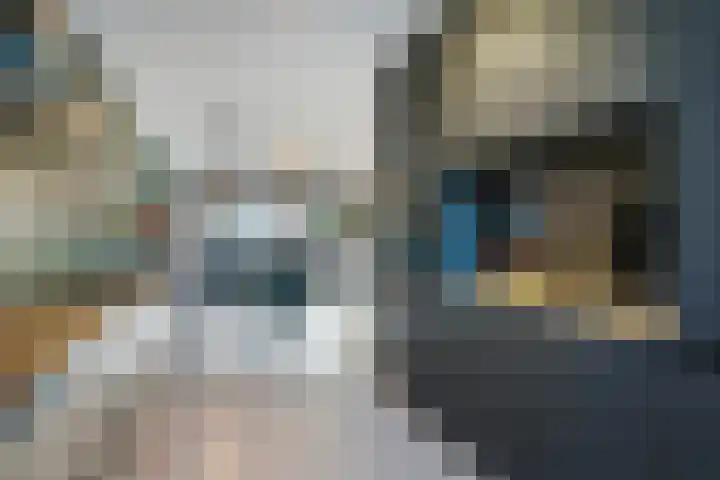 De Druiventrap 36 Wateringen thumbnail 16