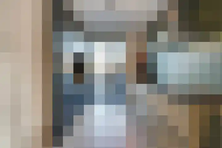 De Druiventrap 36 Wateringen thumbnail 17