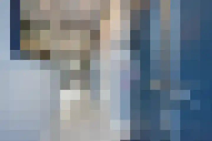 De Druiventrap 36 Wateringen thumbnail 21