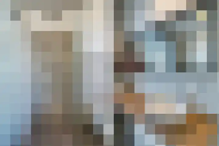 De Druiventrap 36 Wateringen thumbnail 32