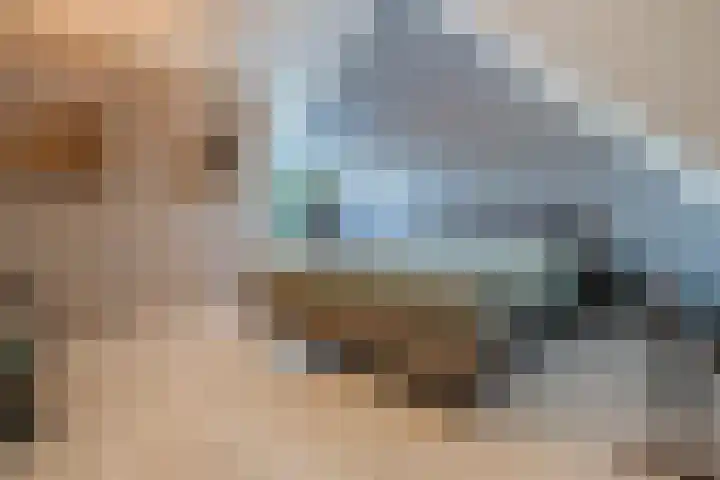 De Druiventrap 36 Wateringen thumbnail 35