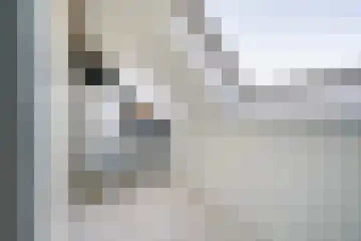 De Druiventrap 36 Wateringen thumbnail 38