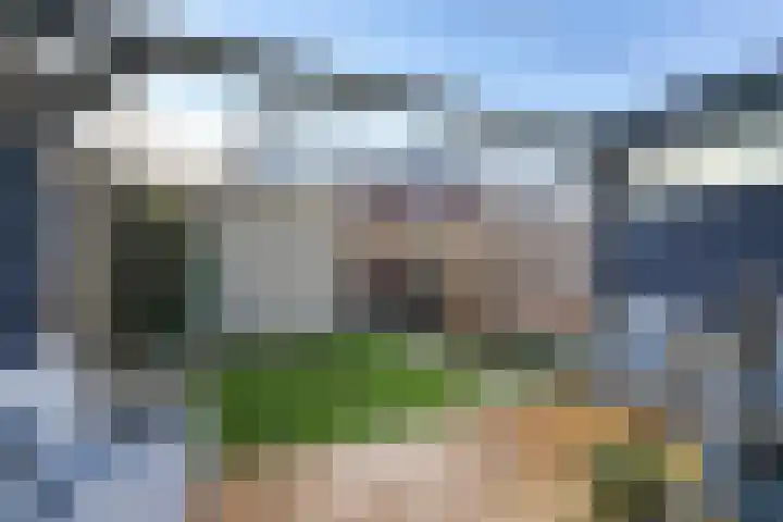 De Druiventrap 36 Wateringen thumbnail 39