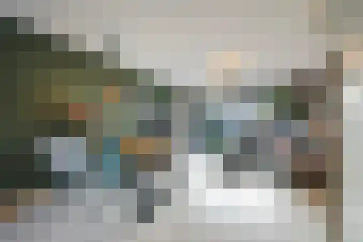 De Druiventrap 36 Wateringen thumbnail 4