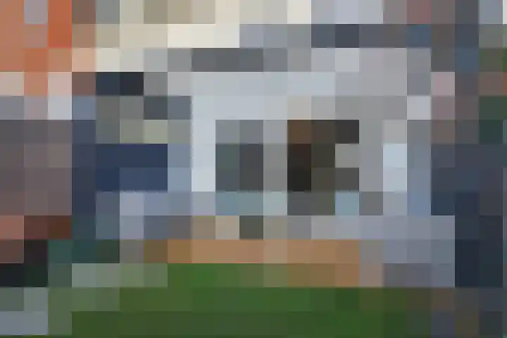 De Druiventrap 36 Wateringen thumbnail 41