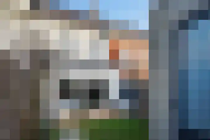 De Druiventrap 36 Wateringen thumbnail 42