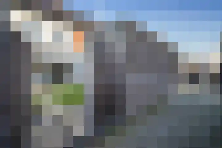 De Druiventrap 36 Wateringen thumbnail 43
