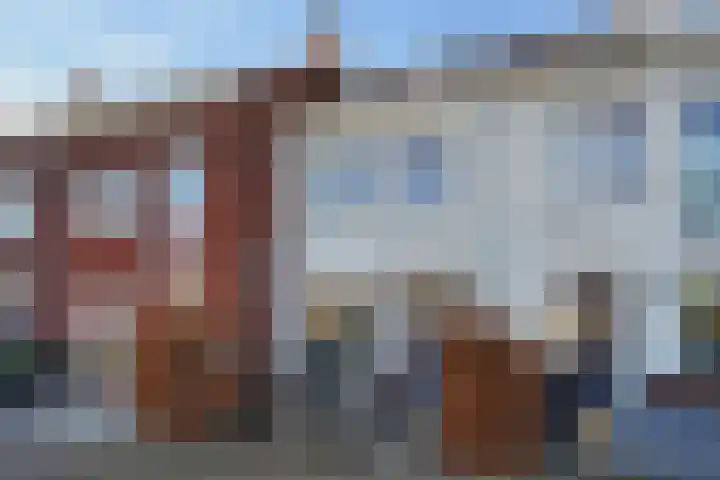 De Druiventrap 36 Wateringen thumbnail 44