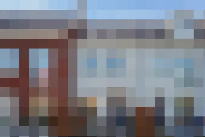 De Druiventrap 36 Wateringen thumbnail 45