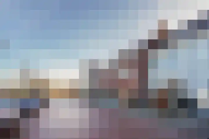 De Druiventrap 36 Wateringen thumbnail 47