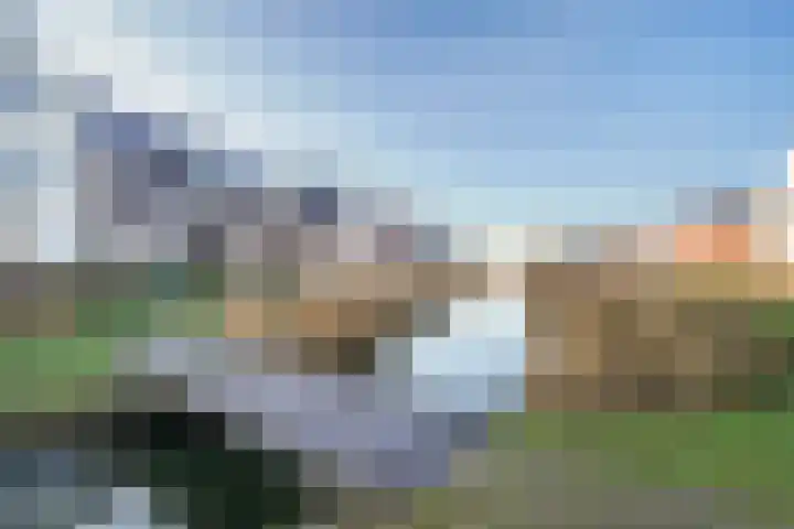 De Druiventrap 36 Wateringen thumbnail 48