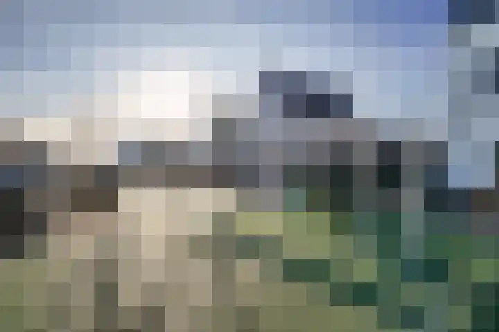 De Druiventrap 36 Wateringen thumbnail 49