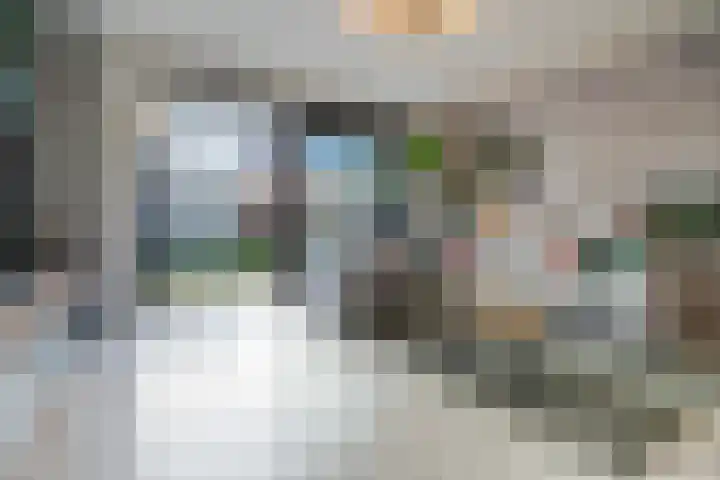 De Druiventrap 36 Wateringen thumbnail 6