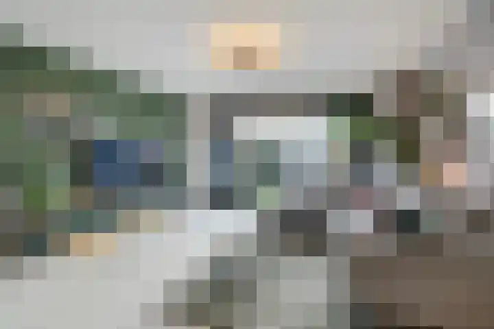 De Druiventrap 36 Wateringen thumbnail 7