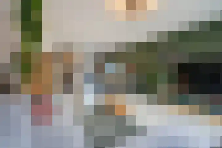 De Druiventrap 36 Wateringen thumbnail 8