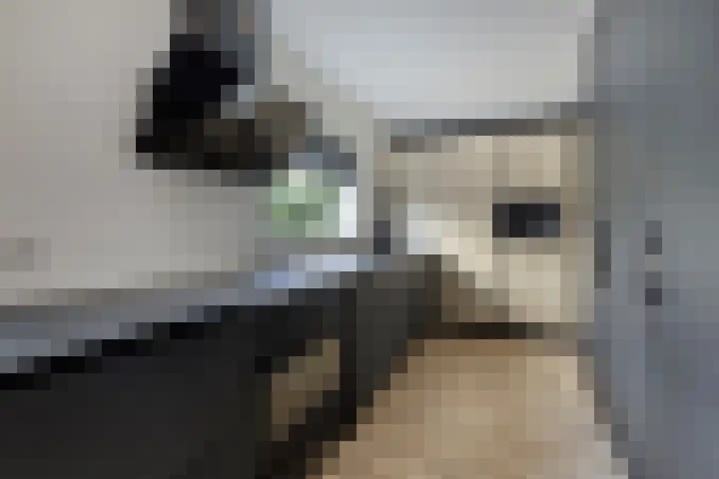 De Duiker 15 Veldhoven thumbnail 12