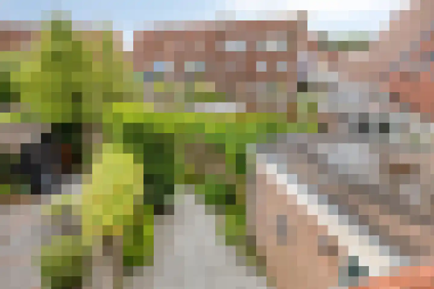 De Duiker 22 Linschoten thumbnail 27