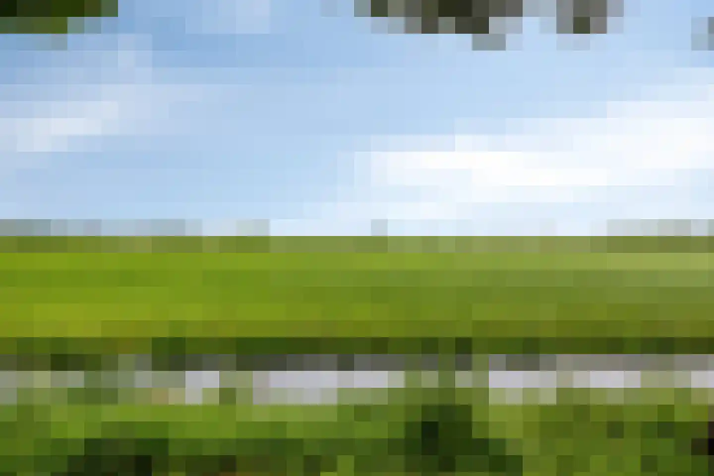 De Duiker 22 Linschoten thumbnail 33