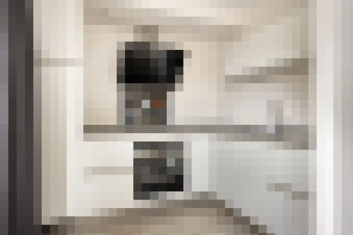 De Duiker 22 Linschoten thumbnail 9