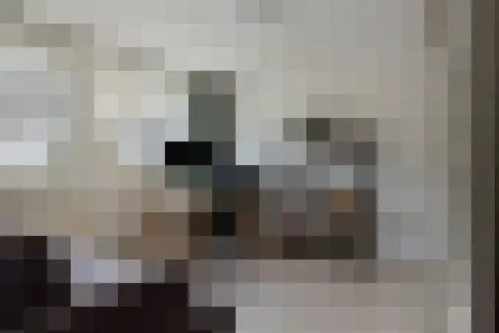 De Duiker 7 Veldhoven thumbnail 20