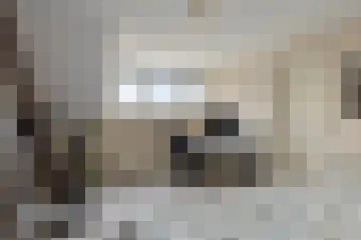 De Duiker 7 Veldhoven thumbnail 29