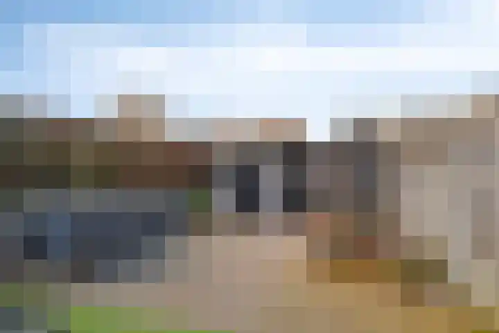 De Duiker 7 Veldhoven thumbnail 31