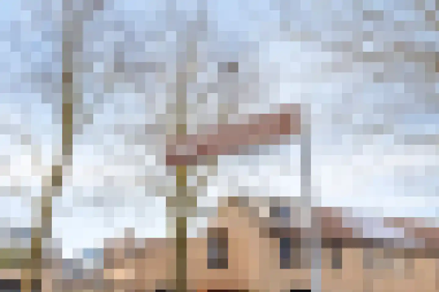 De Duiker 7 Veldhoven thumbnail 39