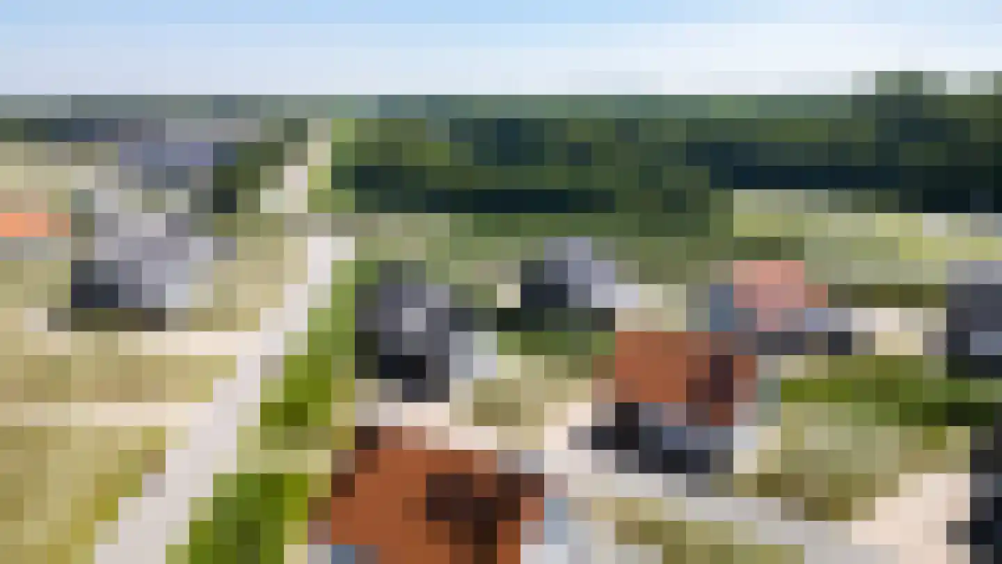 de Duinen 124 Ouddorp thumbnail 34