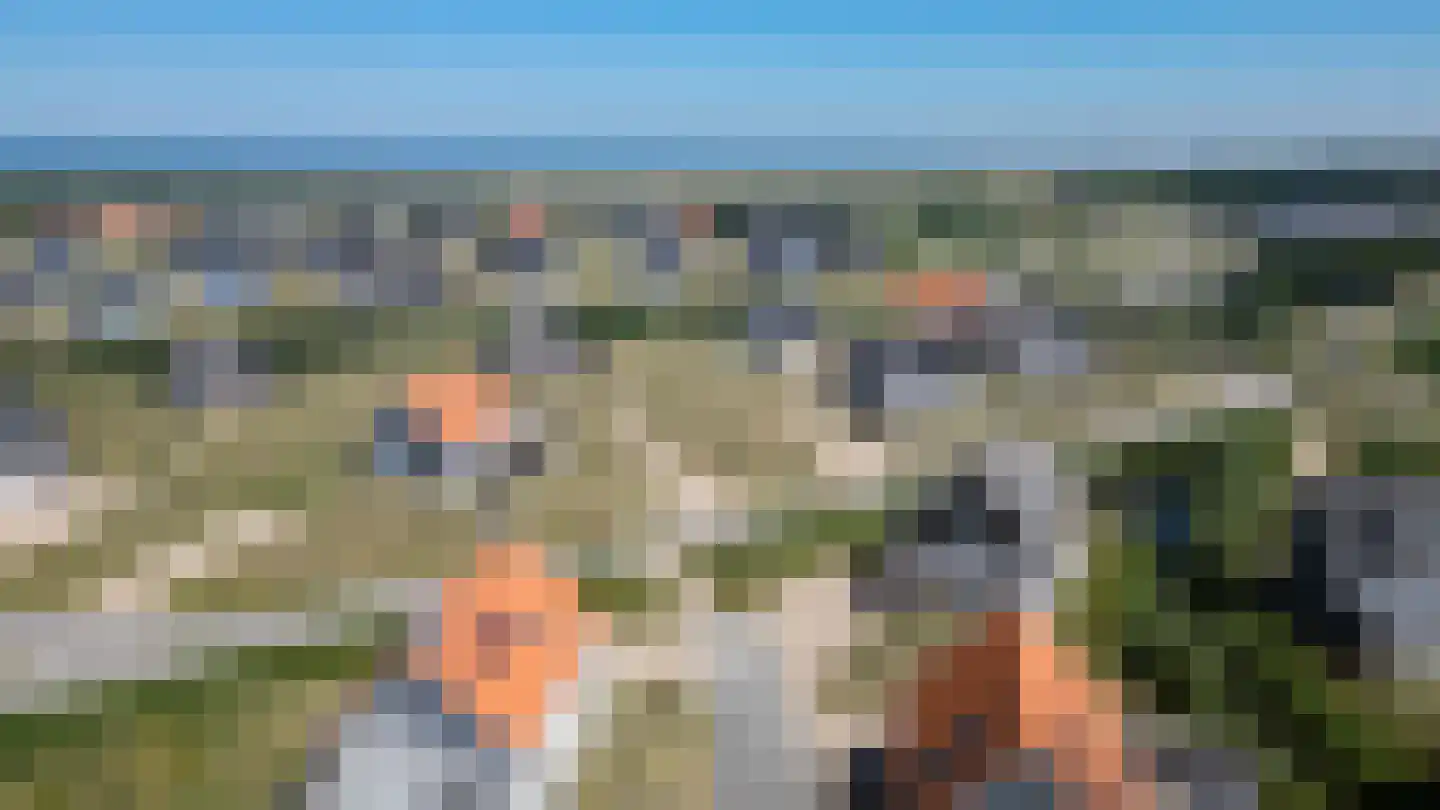 de Duinen 124 Ouddorp thumbnail 35