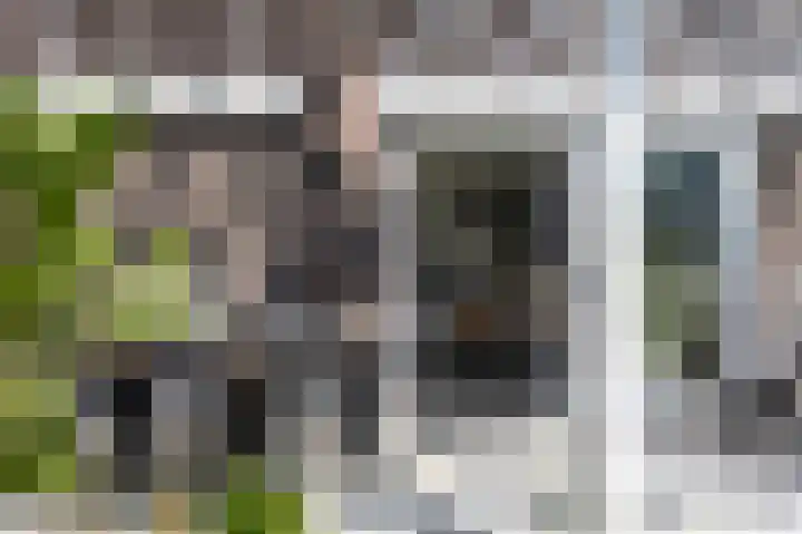 de Duinen 220 Ouddorp thumbnail 10