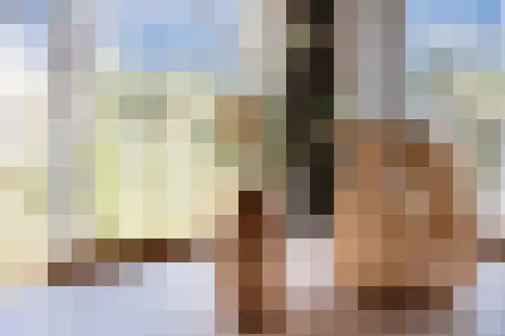 de Duinen 220 Ouddorp thumbnail 13