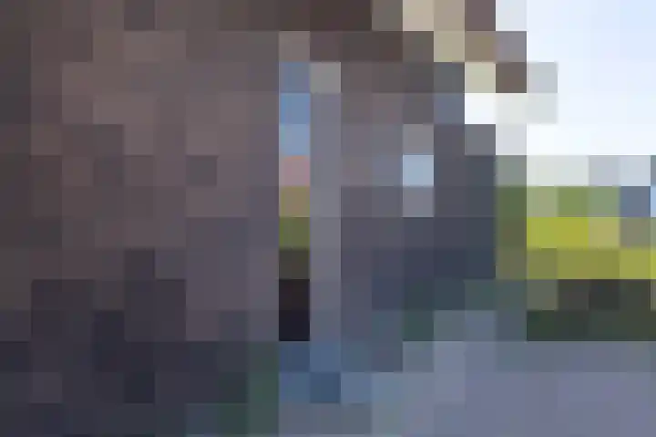 de Duinen 220 Ouddorp thumbnail 31