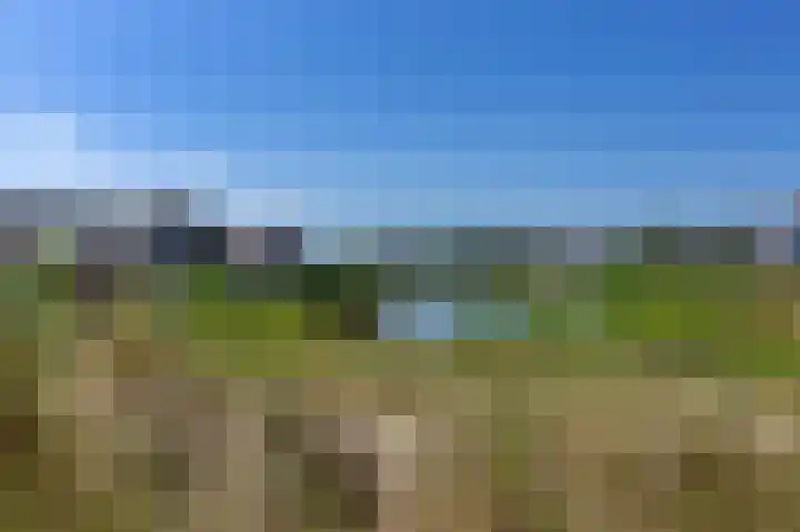 de Duinen 220 Ouddorp thumbnail 32